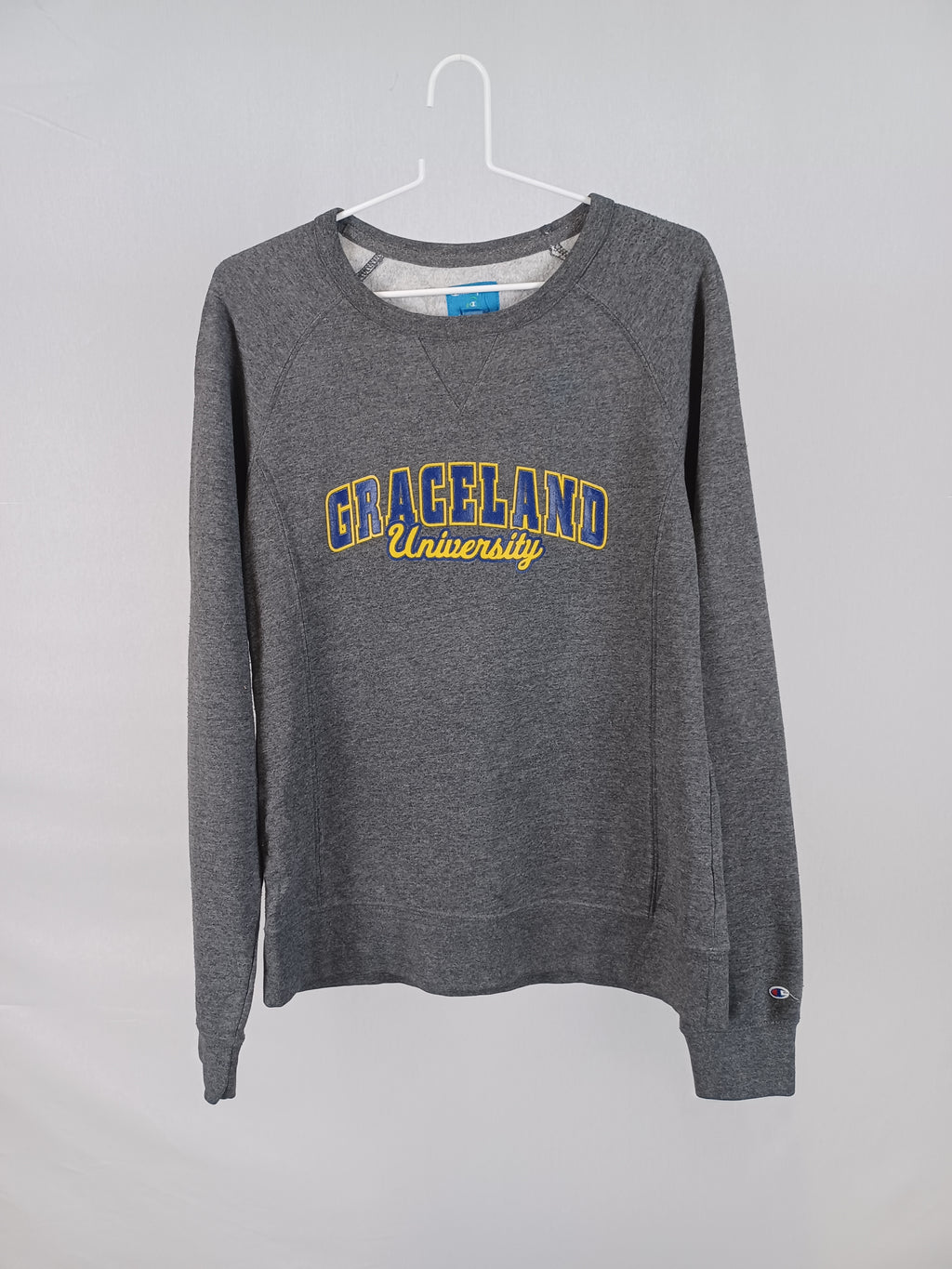 Champion Sweater L Grey