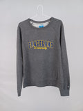 Champion Sweater L Grey